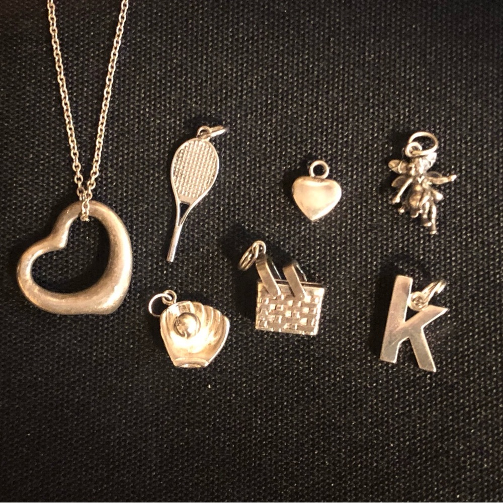 Silver Charm Necklace and Pendants